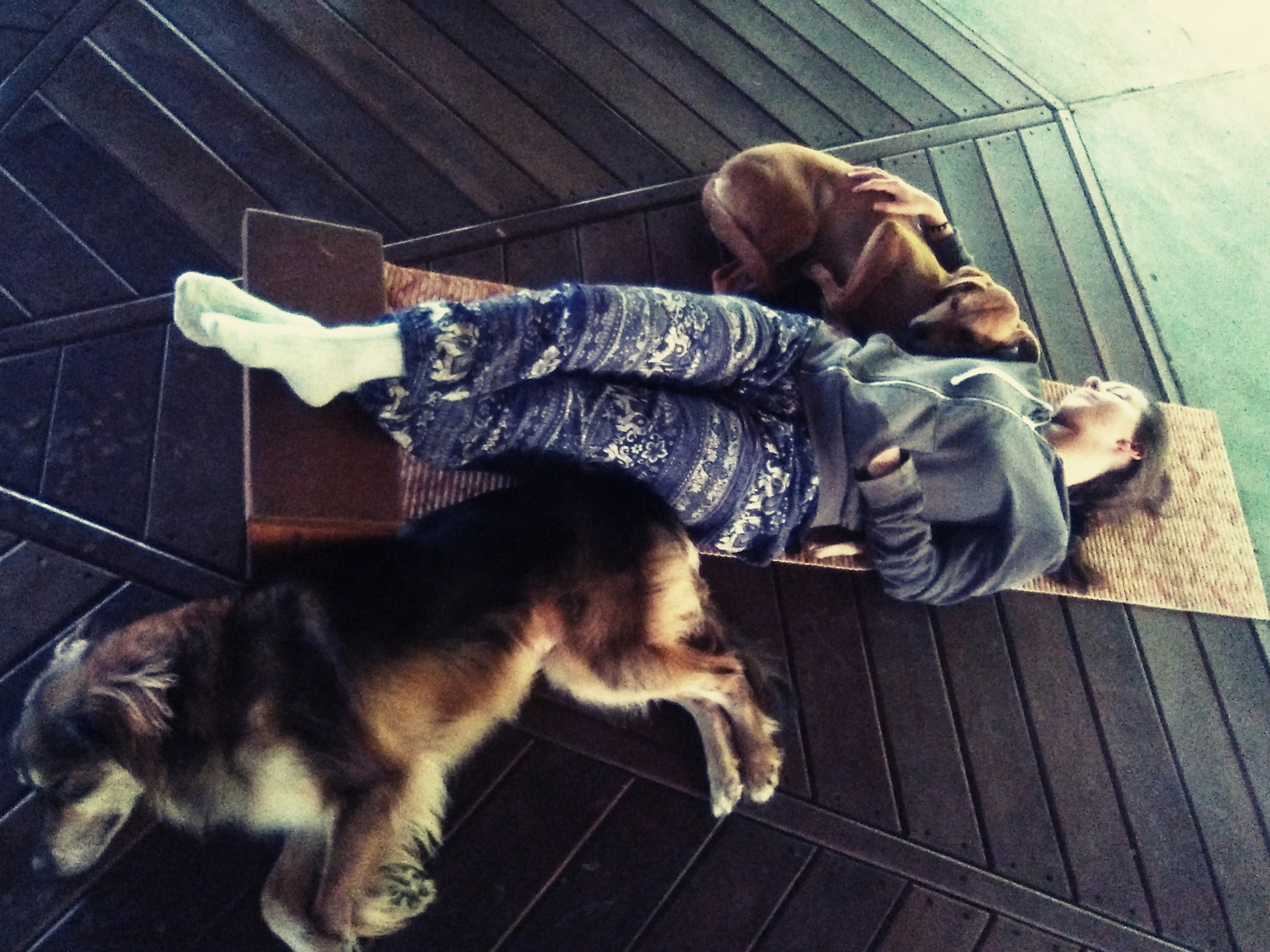 Great relaxing with dogs